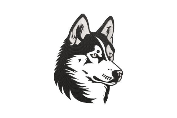 Download Siberian Husky Dog - Dog Collection
