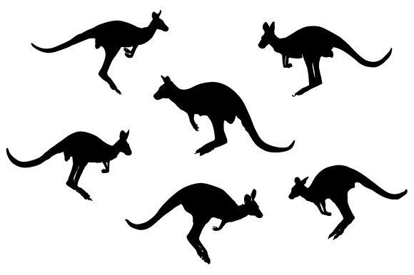 Download Kangaroo Vector Design - Kangaroo vector Collection