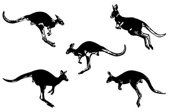 Download Kangaroo Vector Graphic Design - Kangaroo vector Collection